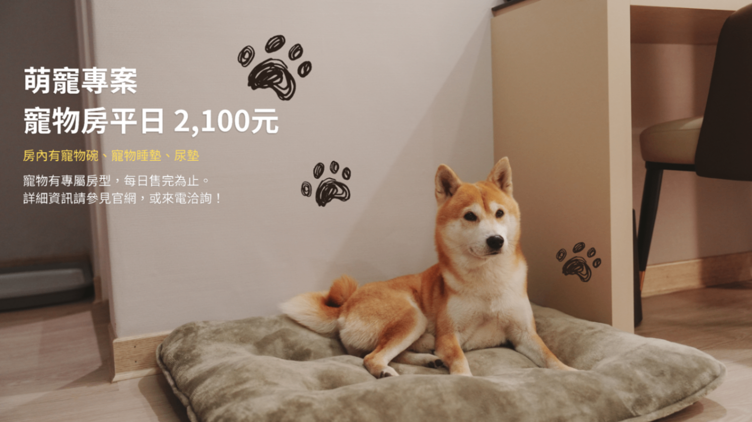 帶著寶貝一起出遊🐾