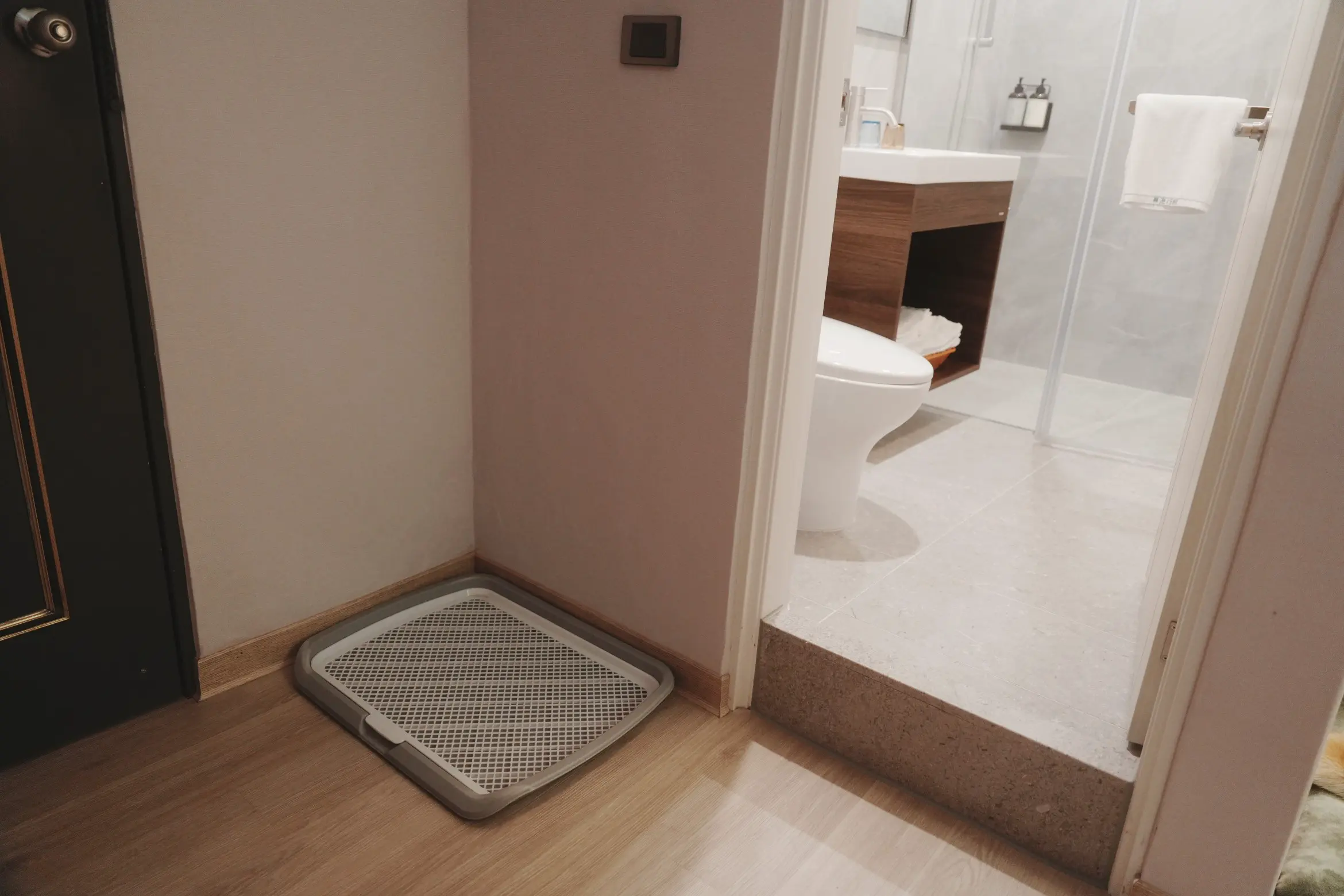 寵物房 Pet-Friendly